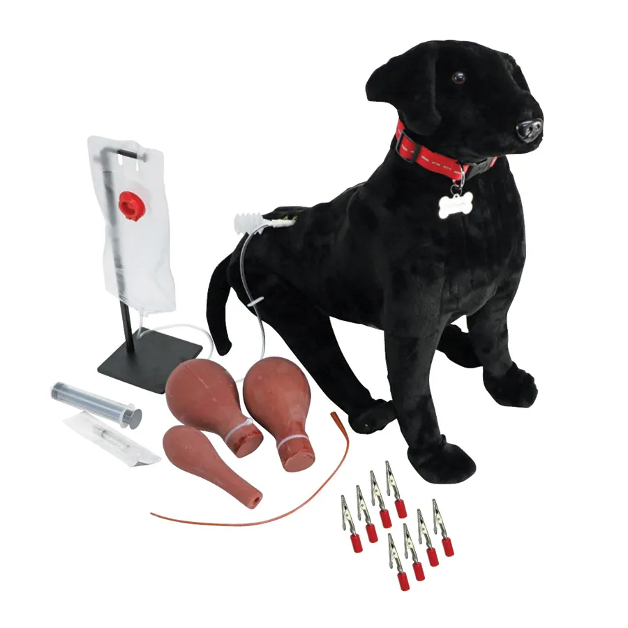 Veterinárny tréner psov – Obrázok 2