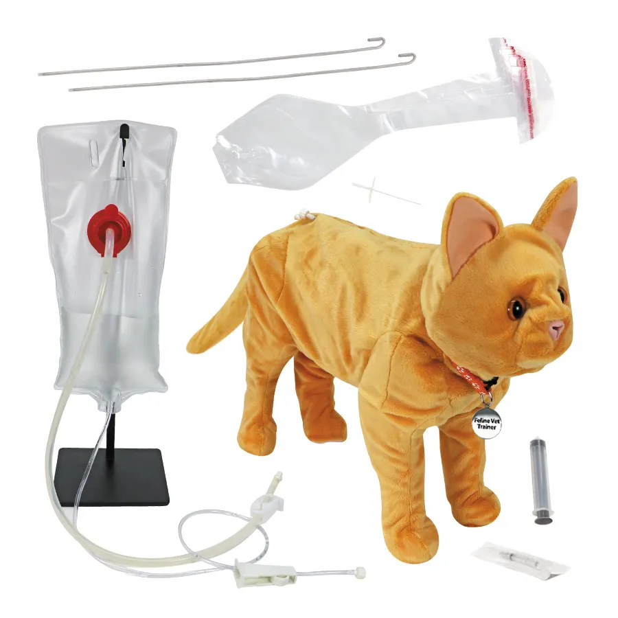 Mačací veterinárny trenažér