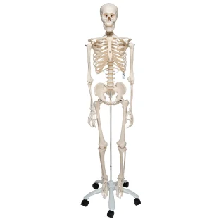 Kostra STAN, pojazdný stojan