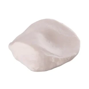 Jabĺčko (Patella)