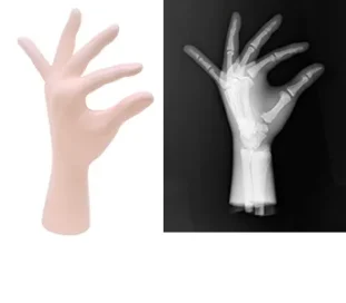 Ľavá ruka (nepriehľadná)