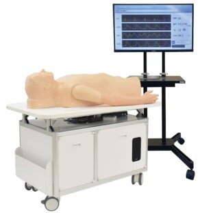 Simulátor kardiologického pacienta "K" verzia 2 | Simulácie srdcových zvukov a EKG