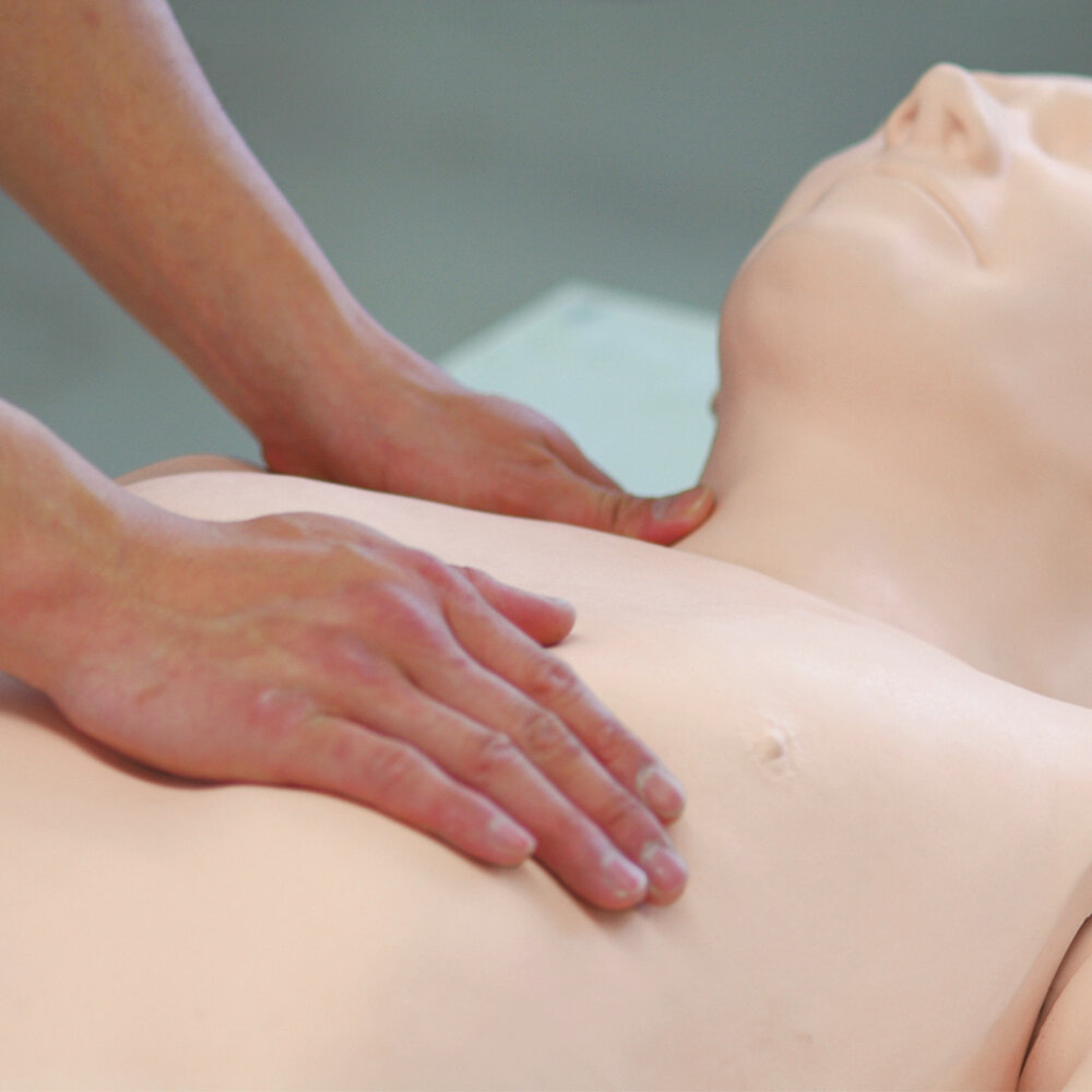 Simulátor kardiologického pacienta "K" verzia 2 | Simulácie srdcových zvukov a EKG – Obrázok 3