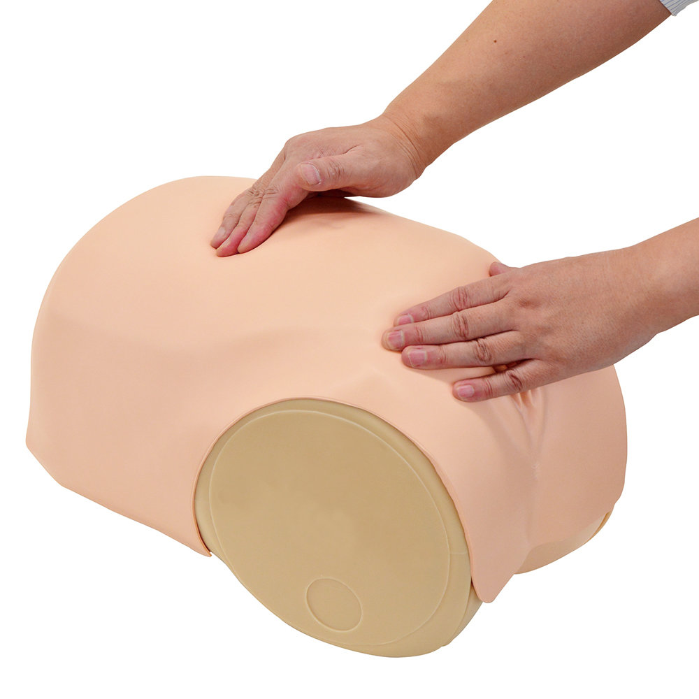 Simulátor pre posúdenie maternicovej involúcie – Obrázok 2
