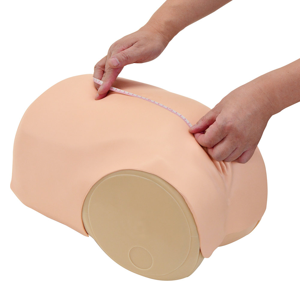 Simulátor pre posúdenie maternicovej involúcie – Obrázok 3