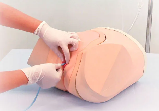 Simulátor pre nácvik ženskej katetrizácie a prevedenie klystíru
