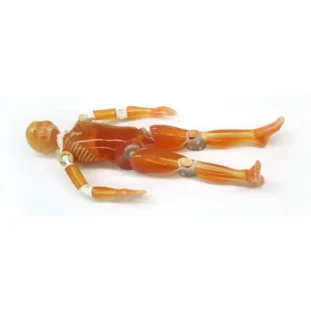 Pediatrický model celého tela PBU-70