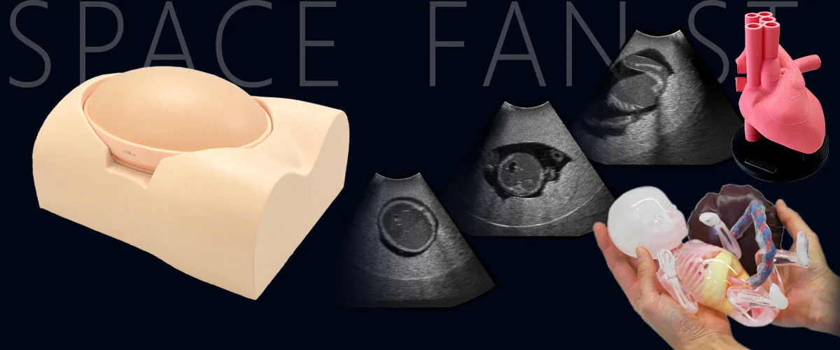 Fantom na ultrazvukové vyšetrenie plodu SPACE FAN-ST Heart