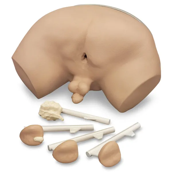 Simulátor pre vyšetrenie prostaty