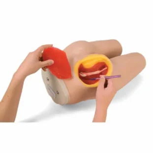 Simulátor aplikácie intramuskulárnej injekcie