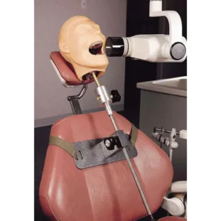 Dentálna figurína X-Ray