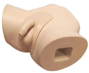 Simulátor pre nácvik mužskej katetrizácie