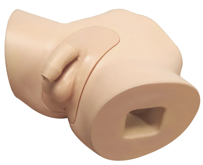 Simulátor pre nácvik mužskej katetrizácie