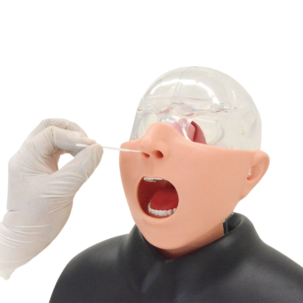Nasopharyngeálny simulátor pre odbery vatovou tyčinkou